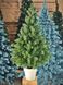 Ялинка лита в горщику, зелена POTTED TREE GREEN POTTED TREE GREEN-70 фото 2