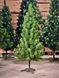 Ялинка новорічна зелена 1,0м Н.З. XMAS TREE GREEN XMAS TREE GREEN-100 фото 1